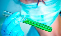 Phasellus porta Fusce su varius mi Cum sociis natoque penatibus et