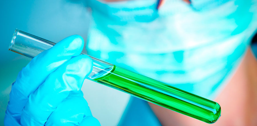 Phasellus porta Fusce su varius mi Cum sociis natoque penatibus et