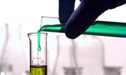 Phasellus porta Fusce su varius mi Cum sociis natoque penatibus et