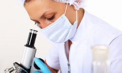 Phasellus porta Fusce su varius mi Cum sociis natoque penatibus et