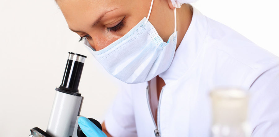 Phasellus porta Fusce su varius mi Cum sociis natoque penatibus et