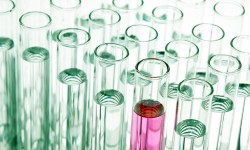 MVR Checks: What Are They and Why Are They Important?