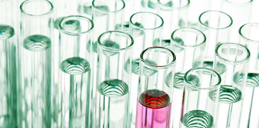 MVR Checks: What Are They and Why Are They Important?