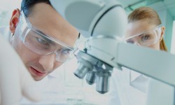 Phasellus porta Fusce su varius mi Cum sociis natoque penatibus et