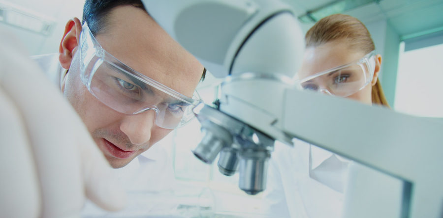 Phasellus porta Fusce su varius mi Cum sociis natoque penatibus et